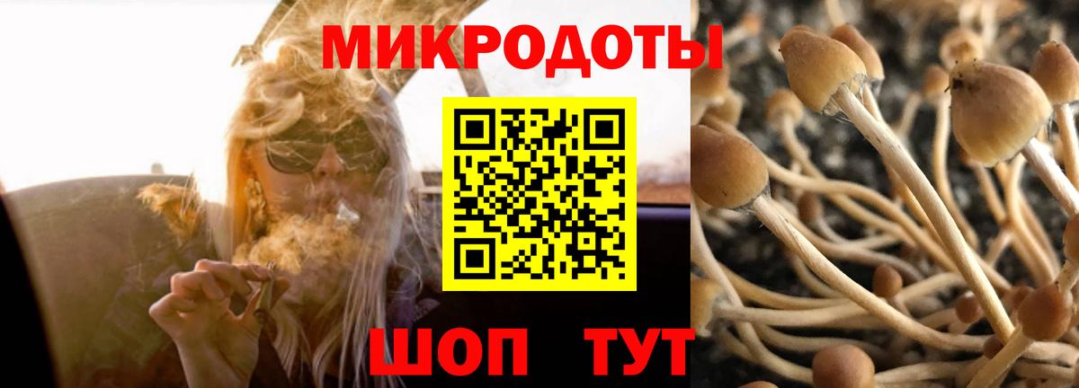 Псилоцибиновые грибы ЛСД Лесной