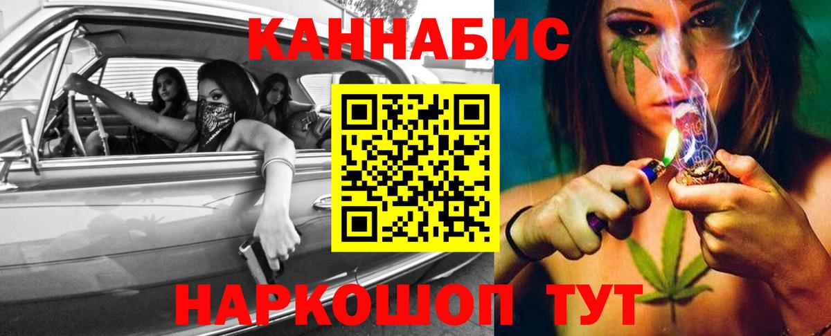 Канабис планчик Лесной